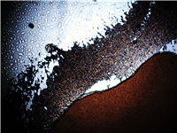 Enantioselective Inundation Sectional Theory