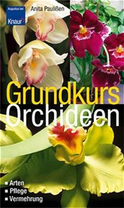 Grundkurs Orchideen