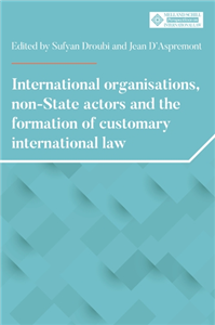 International organisations, non-state actors and the formation of customary international law