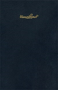 Bezüge und Strukturen. Studien zu »Les plaisirs et les jours«