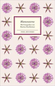 Blumensterne