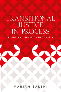 Transitional justice in process