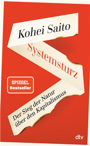 Systemsturz