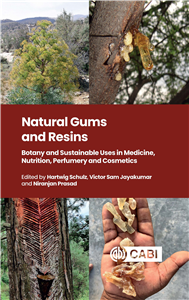 Natural Gums and Resins