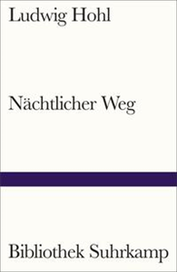 Nächtlicher Weg