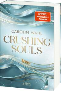 Crushing Souls (Driven Dreams-Dilogie, Band 1)