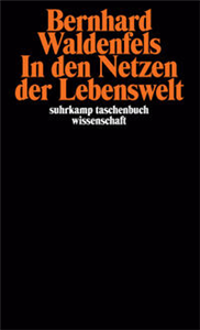 In den Netzen der Lebenswelt