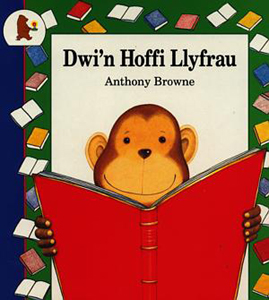 Dwi'n Hoffi Llyfrau