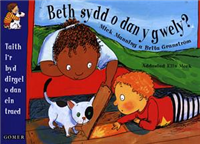 Beth Sydd O Dan Y Gwely?