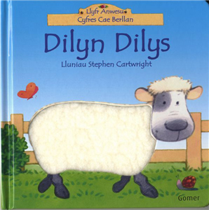 Dilyn Dilys