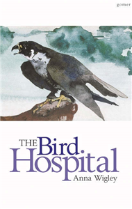 The Bird Hospital