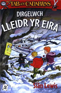 Dirgelwch Lleidr Yr Eira