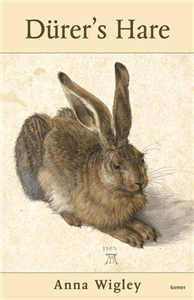 Dþurer's Hare