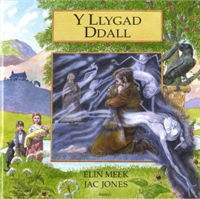 Y Llygad Dall