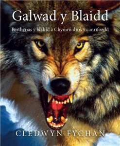 Galwad Y Blaidd