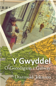 Y Gwyddel