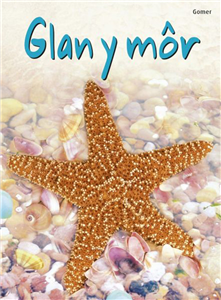 Glan Y Mòor