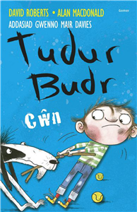 Tudur Budr: C N