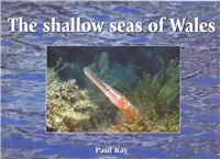 The Shallow Seas of Wales