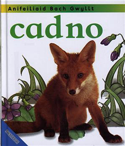 Cadno