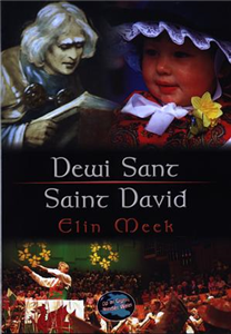Dewi Sant