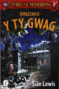 Dirgelwch Y Tòy Gwag