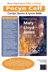 Pecyn Celf Mary Lloyd Jones - Enfys O Liwiau