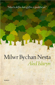 Milwr Bychan Nesta