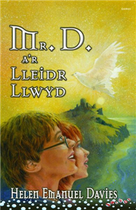 Mr. D. A'r Lleidr Llwyd